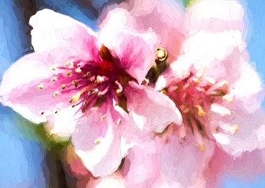 peach blossom in spring