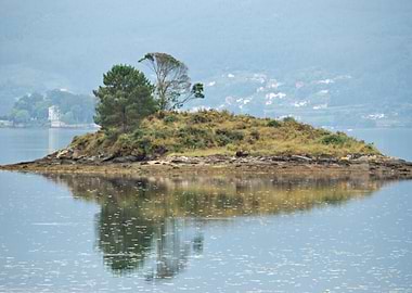 Island in the Ria