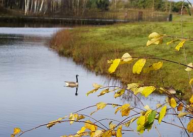 nature at Beekse bergen