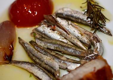 Sardines Greek cuisine raw