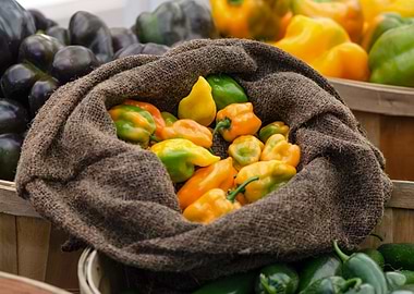Peppers in Burlap Bag