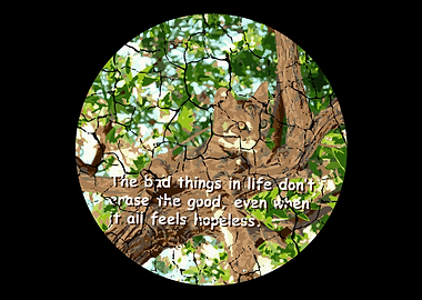 Cat Hopeless Motivated and