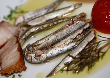 Greek sardines raw cuisine