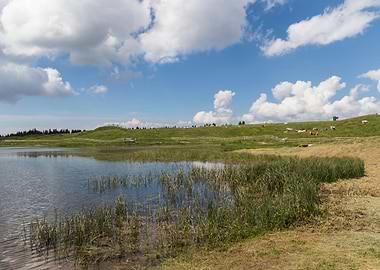 landscape of blue lake