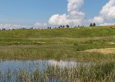 landscape of blue lake