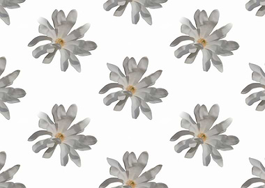 magnolia background