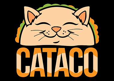 Funny Cat Taco Food Animal