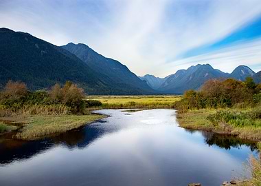 Pitt River Reflections