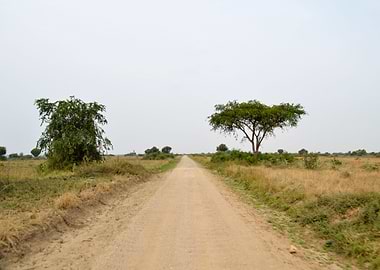 road in the African savann