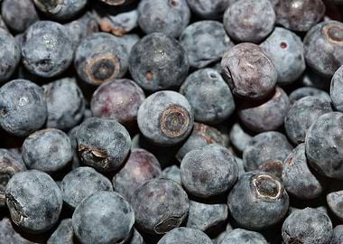 Bluberries wild fruits