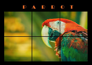Parrot