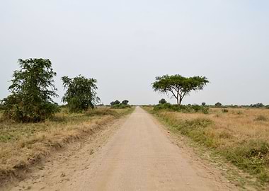 road in the African savann