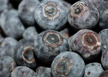 Bluberries wild fruits