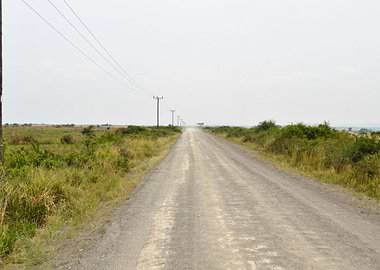 road in the African savann