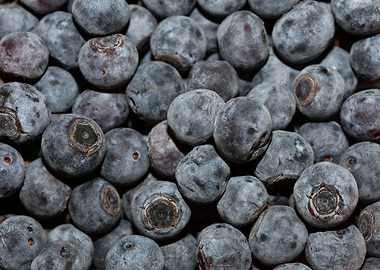 Bluberries wild fruits