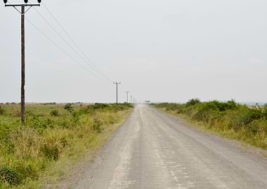 road in the African savann