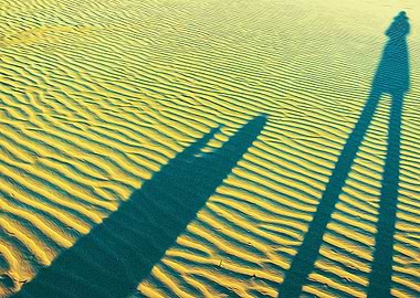 Shadows of best friends