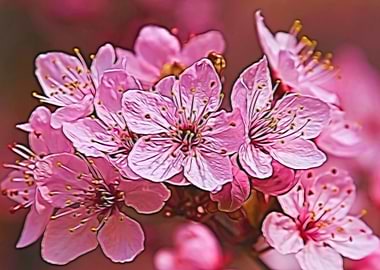 pink flowers on the tree