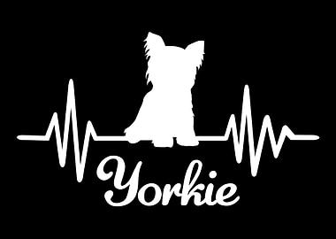 Yorkie