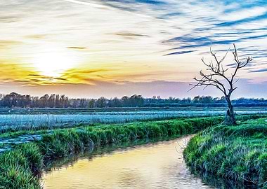 Sunset in Ticino park