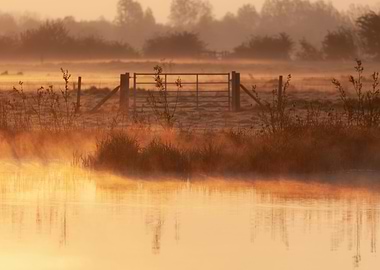 Farm gate in the morning