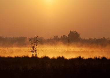 Morning on the riverbank