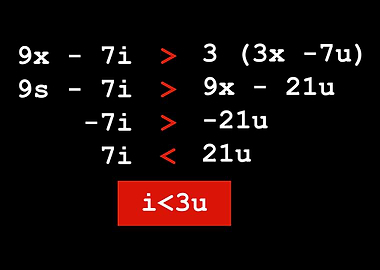 Librarian Book Collector