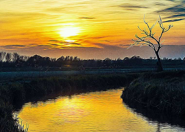 Sunset in Ticino park