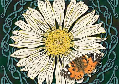 Daisy and Butterfly