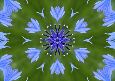 decorative background