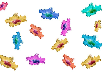 creative graphic pattern