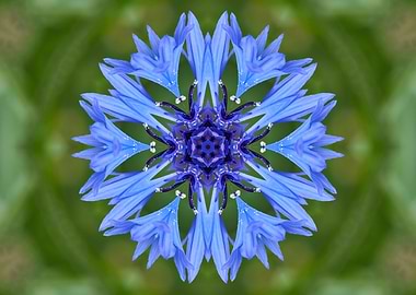 decorative background