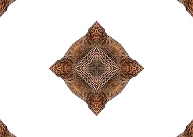 decorative background