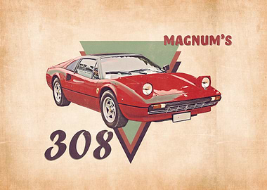 Magnums 308