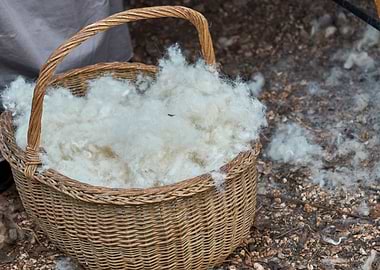 wool in basket