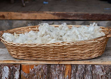 wool in basket