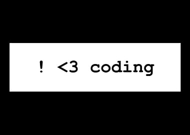 Programming Developer