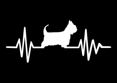 Australian Silky Terrier