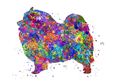 Keeshond dog watercolor