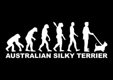 Australian Silky Terrier