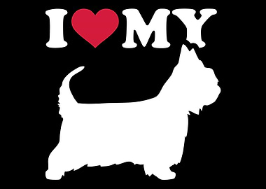 Australian Silky Terrier