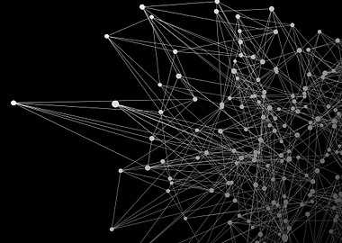 white polygon outline