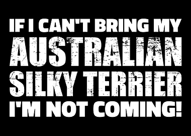 Australian Silky Terrier