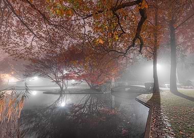 City park in the fog