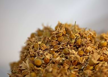 Camomile dried flowers