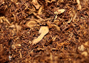 Tobacco rolling leaves