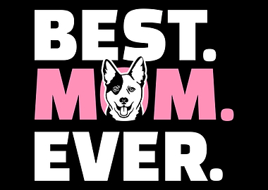 Australian Cattle Dog