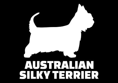 Australian Silky Terrier