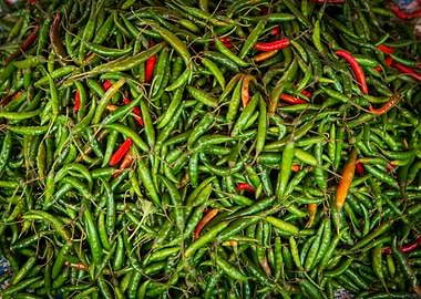 Chillies