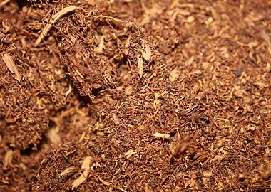 Tobacco rolling leaves